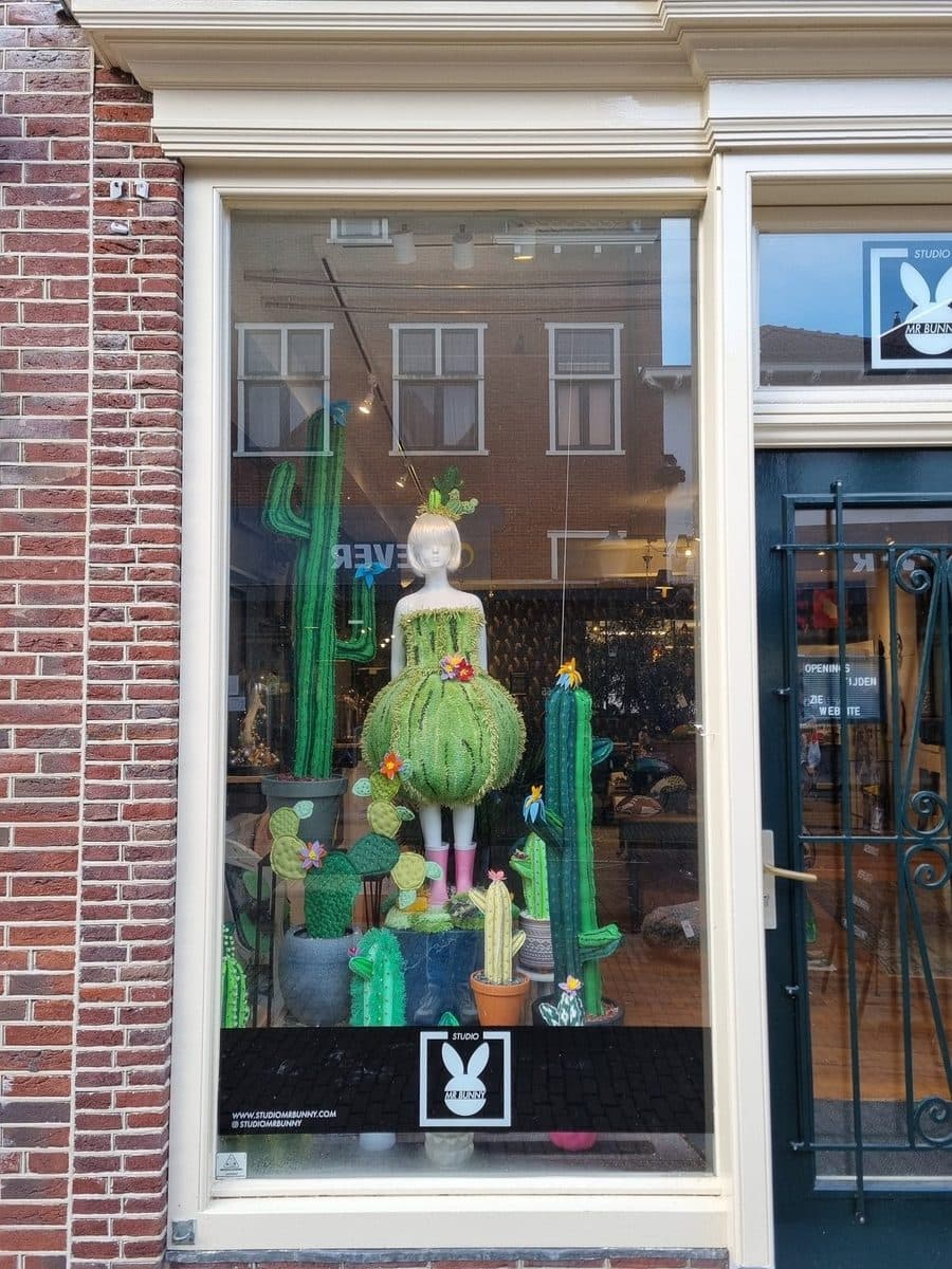 Etalage met getufte cactussen